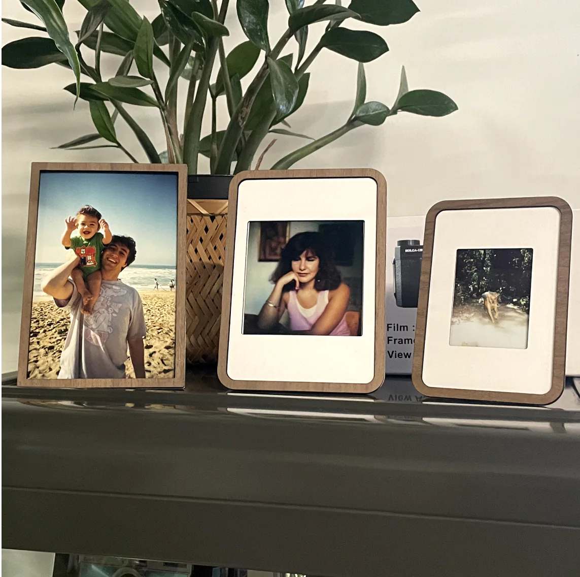 Three Pop-up Frames lined up on a shelf under a plant